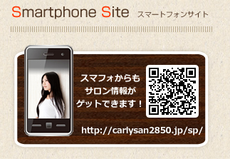 スマートフォンサイト